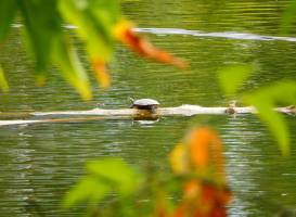 McGuire Lake Park