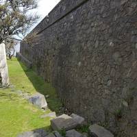 Porton de Campo