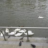 Riverside Walk