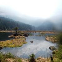 Parc national de la Forêt bavaroise
