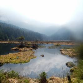 Parc national de la Forêt bavaroise