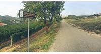 Azienda Agricola Sacco