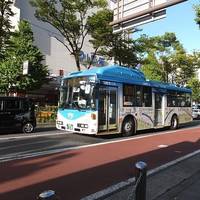 Kawasaki City Bus
