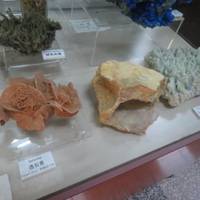 Chizu to Koseki no Yamanote Museum