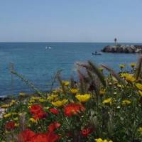 Port de Peche de Carro
