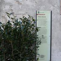 Palazzo Geremia