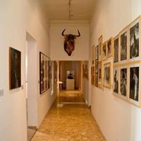 Bull Cultures Museum - Musée des cultures taurines