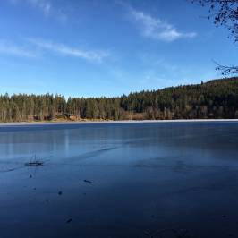 Windgfällweiher
