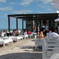 Cocodrilo Pinamar