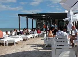 Cocodrilo Pinamar