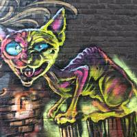 Black Cat Alley