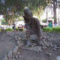 Hijo del Arbol de la Noche Triste