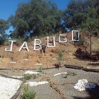 Centro del Iberico y la Dehesa