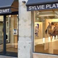 Galerie d'Art Sylvie Platini