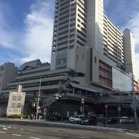 Acta Nishinomiya
