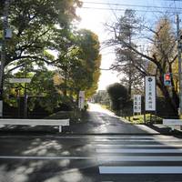 Kodokan Kashima Shrine