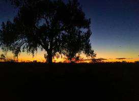 Kings Creek Station