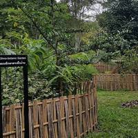 Pha Tad Ke Botanical Garden