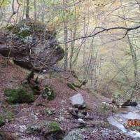 Ente Parco Nazionale d'Abruzzo
