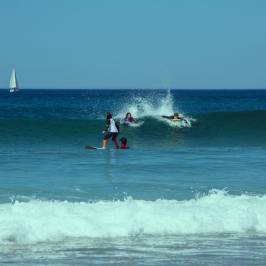 Darrigood Surf School