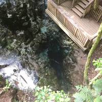Hamurana Springs Recreation Reserve