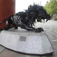 Lion 4