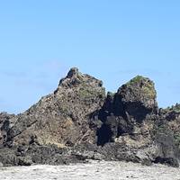 Lion Couple Rock