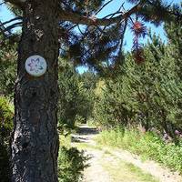 Circular de la Parroquia de Canillo