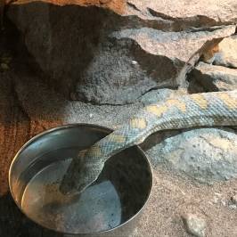 Blekinge Exotiska Värld