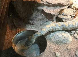 Blekinge Exotiska Värld