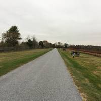 Benner's Hill