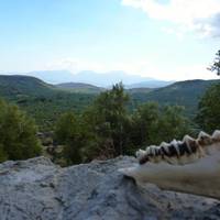 Kritsa Gorge