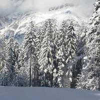 Ski Center Lavarone – Turismo Lavarone Spa