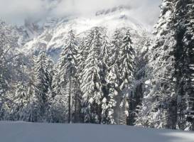 Ski Center Lavarone – Turismo Lavarone Spa