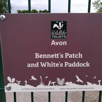 Bennett's Patch and White's Paddock