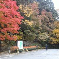 Shiroyama Park