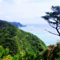 Hill With a View of the Dugong