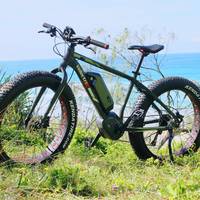 Ecotekk Electric Bikes