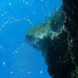 Kanelakis Diving Experiences