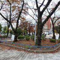 Ryogoku Park