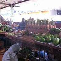Mercado Agropecuario Egido