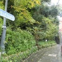 Siebold Street