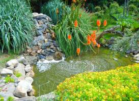 Tropicarium Bonsaï