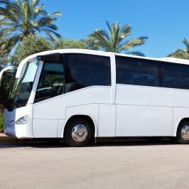 Island Star Express