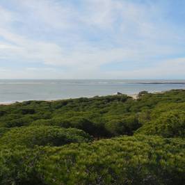 Pasarela del Litoral de Rota
