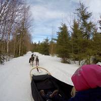 Vuokatti Safaris