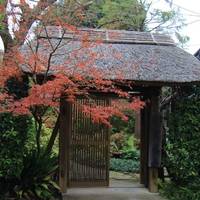 Gentaku-ji Temple