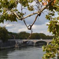 Ponte Regina Margherita