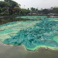 Relief Map of the Philippine Islands