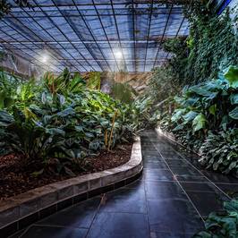 Tropical Garden Slovenia